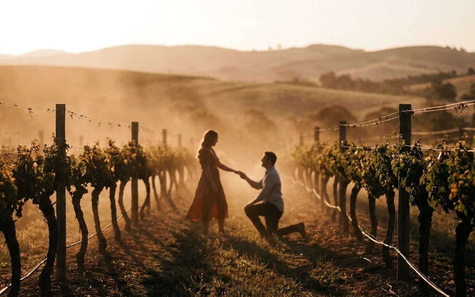 Gold Coast hinterland vineyard and cellar door at golden hour